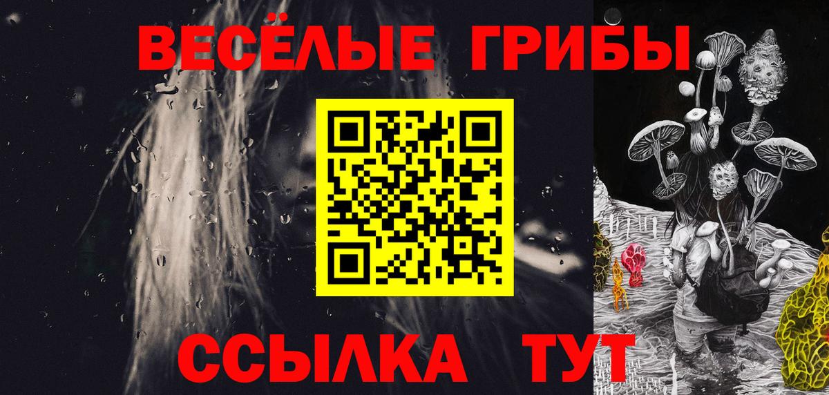 Галлюциногенные грибы MAGIC MUSHROOMS  купить  цена  Шелехов  Вход с VPN  Галлюциногенные грибы MAGIC MUSHROOMS 